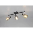 Plafoniera Trio JACK  metal, sticla, negru, fumuriu, E27 - R86423032