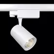 Spot sina trifazata Maytoni VUORO aluminiu-plastic alb 1x LED - TR029-3-10W3K-W