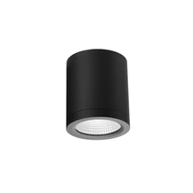Plafoniera exterioara Azzardo CONYON metal, sticla, negru, transparent, LED, 3000K-4000K-6000K, 15W, 1200lm, IP54 - 6027