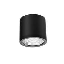 Plafoniera exterioara Azzardo CONYON metal, sticla, negru, transparent, LED, 3000K-4000K-6000K, 25W, 2000lm, IP54 - 6029