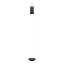 Lampadar Eglo TOOTHILL metal, sticla, negru, E27 - 44004