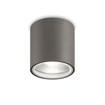 GUN PL1 ANTRACITE - IdealLux-236865 - Plafoniera exterior