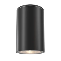 Plafoniera exterioara Maytoni Roll metal, negru, sticla, GU10, IP54 - O307CL-01B
