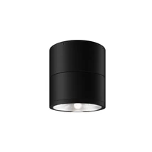 Plafoniera exterioara Maytoni SPIN metal, sticla, grafit, transparent, LED, 3000K, 12W, 1050lm, IP54 - O310CL-L12GF3K