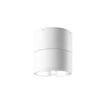 Plafoniera exterioara Maytoni SPIN metal, sticla, alb, transparent, LED, 3000K, 12W, 1050lm, IP54 - O310CL-L12W3K
