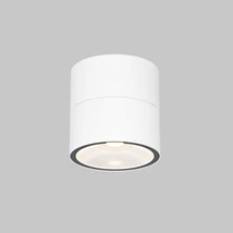 Plafoniera exterioara Maytoni SPIN metal, sticla, alb, LED, 5W, 3000K, 480 Lm,IP 54 - O310CL-L5W3K