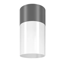 Plafoniera exterioara Maytoni Willis metal, plastic, gri, alb, E27, IP54 - O418CL-01GR