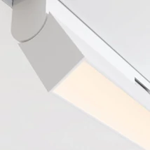 Sursa de lumina pentru sina magnetica Exility Maytoni BASIS ROT metal, alb, LED, 12W, 2700-6000K - TR036-4-12WTW-DD2-W