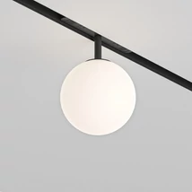 Sursa de lumina pentru sina magnetica Exility Maytoni LUNA metal, sticla, negru, alb, LED, 6W, 2700-6000K, 300Lm - TR038-4-5WTW-DD2-B