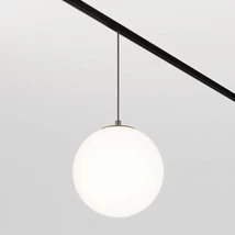 Sursa de lumina pentru sina magnetica Exility Maytoni LUNA metal, sticla, negru, alb, LED, 6W, 2700-6000K, 350Lm - TR039-4-5WTW-DD2-B