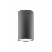 Plafoniera exterioara NovaLuce Cerise metal, sticla, gri, GU10, IP54 - NL-9020021