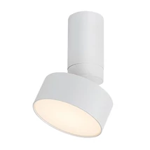 Plafoniera Rabalux OVIDIA metal, plastic, alb, LED, 10W, 3000K, 640Lm - 71326