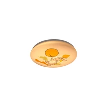 Plafoniera pentru copii Rabalux HOPPLY metal, plastic, alb, LED, 24W, 3000K, 1440Lm - 71409