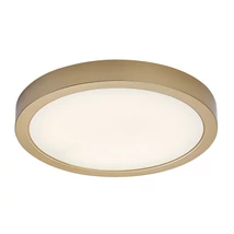Plafonierade baie  Rabalux SHAUN PLUS plastic, alb, auriu, LED, 4000K, 30W, 3000lm, IP44 - 75079