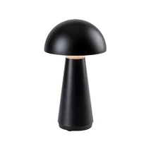 Lampa decor Rabalux ISHTAR plastic, negru, LED, 3000K, 3W, 130lm - Rabalux-76007