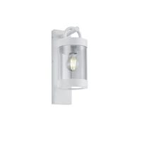 Aplica de perete exterioara Trio SAMBESI metal, sticla, alb, transparent, E27, IP44 - 204160131