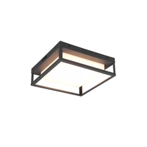Plafoniera exterioara Trio WITHAM metal, plastic, antracit, alb, LED, 2300K-3000K-4000K, 14W, 1550lm, IP54 - 677860142