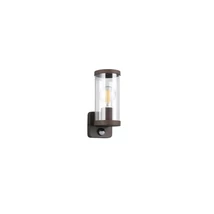 Aplica de perete exterioara cu senzor Trio BONITO metal, ruginiu, transparent, E27, IP44 - R21599124
