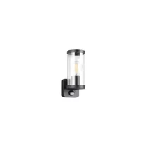 Aplica de perete exterioara cu senzor Trio BONITO metal, negru, transparent, E27, IP44 - R21599132