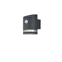 Aplica de perete exterioara cu senzor Trio SALTA metal, plastic, antracit, transparent, LED, 3000K, 3W, 165lm, IP44 - R22231142