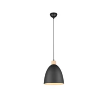 Pendul Trio JAGGER metal, negru, E27 - R30681032