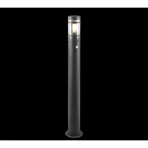 Lampadar exterior Trio PALOMA metal, antracit, E27, IP44 - Trio-R41719142