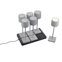 Veioza exterioara Trio FERNANDEZ plastic, gri, LED, 2700K-4000K-6000K, 6x1.5W, 6x130lm, IP54 - R54096677