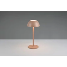 Veioza Trio RICARDO  plastic, maro, LED, 2W, 240lm, 3000K, IP54 - Trio-R54106165