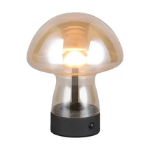 Veioza Trio DOOLEY  metal, sticla, negru, chihlimbar, LED, 1W, 140lm, 3000K - Trio-R54981113