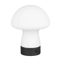 Veioza Trio DOOLEY  metal, sticla, negru, alb, LED, 1W, 140lm, 3000K - Trio-R54981131