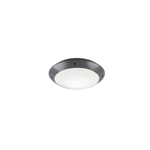 Plafoniera exterioara Trio CAMARO plastic, antracit, alb, E27, IP54 - R60501042
