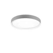 Plafoniera Trio ZETA plastic, gri, alb, LED, 2700K-6500K, 24W, 2500lm - R62712411