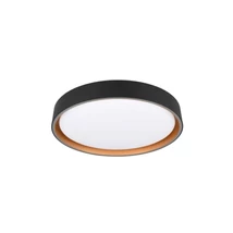 Plafoniera Trio FELIS plastic, negru, auriu, alb, LED, 2700K-6500K, 24W, 2500lm - R64391080