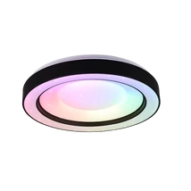 Plafoniera Trio ARCO metal, plastic, negru, alb, RGB-LED, 2700K-6000K, 22W, 2500lm - R65091032