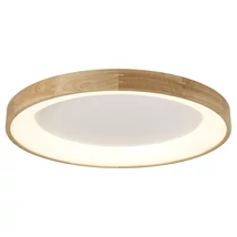 SILVAM LED - AZzardo - AZ-2698 - Plafoniera