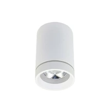 BILL LED - AZzardo - AZ-3375 - Plafoniera