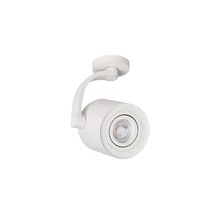 BROSS ARM - AZzardo - AZ-3498 - Spot