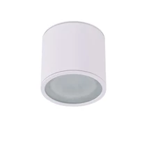 ALIX - Azzardo - AZ-4055 - Plafoniera exterioara