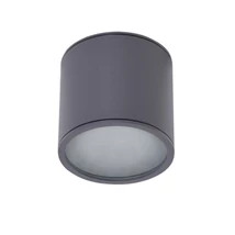 ALIX - Azzardo - AZ-4057 - Plafoniera exterioara