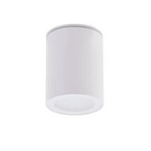 PAPIKO - Azzardo - AZ-4217 - Plafoniera exterioara