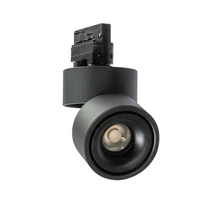COSTA TRACK - Azzardo - AZ-4549 - Spot pentru sistem trifazat