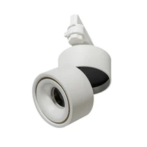 COSTA TRACK - Azzardo - AZ-4550 - Spot pentru sistem trifazat