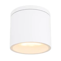 Aplica exterior Globo ALCALA aluminiu alb mat sticla transparent GX53-LED 1x 11W (nu contine) IP44 - 32063W