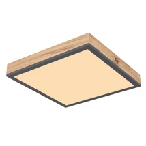 Plafoniera Globo DORO aluminiu grafit acril opal LED 1x 12W 3000K (inclus) IP20 - 416080WD1