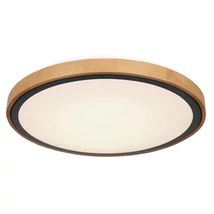 Plafoniera Globo BRUNO metal negru mat acril opal LED 1x 24W CCT (inclus) IP20 - 41764-24