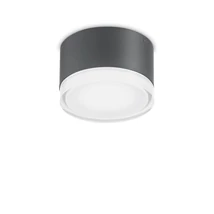 URANO PL1 SMALL ANTRACITE - IdealLux-168111 - Plafoniera exterior