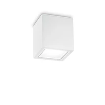 TECHO PL1 BIG BIANCO - IdealLux-251523 - Plafoniera exterioara