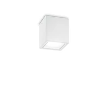 TECHO PL1 SMALL BIANCO - IdealLux-251561 - Plafoniera exterioara