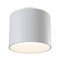Plafoniera Maytoni PLANET aluminiu alb 1x LED - C009CW-L12W
