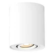 Spot incastrabil Rabalux KOBALD GU10 aluminiu alb mat cu abajur metal stil minimalist IP20 - 2048